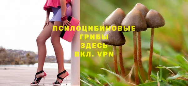 винт Алексеевка