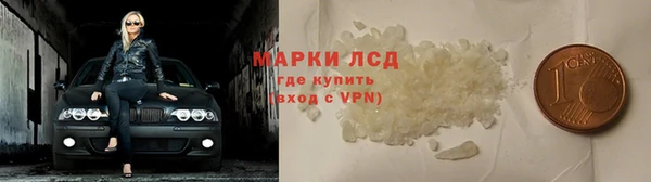 стаф Алзамай