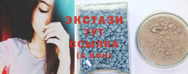 стаф Алзамай