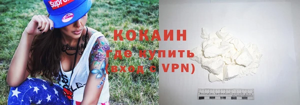 стаф Алзамай