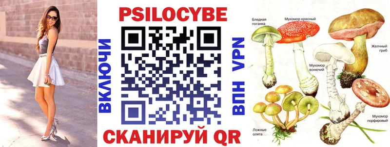 продажа наркотиков  Агидель  Псилоцибиновые грибы прущие грибы 